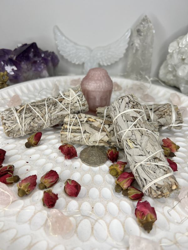White sage, 10 cm